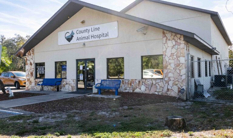 CountyLineAnimalHospital